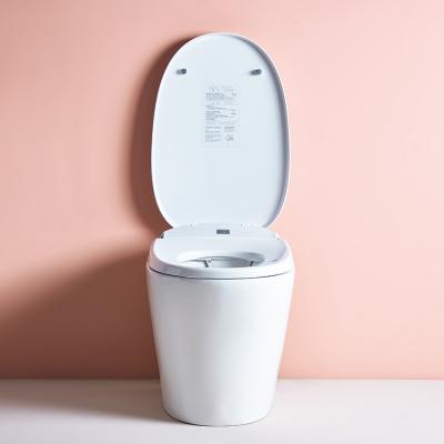 China Automatic Operation Good Price Saudi Ceramic Sanitary Ware Smart Toilet for sale