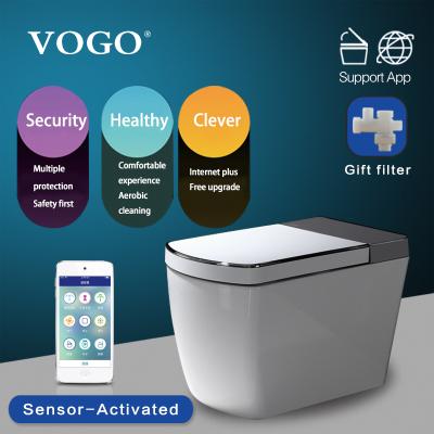 China Automatic Operation VOGO SL600 One Piece Intelligent Smart Toilet With Hot Seat Cover for sale