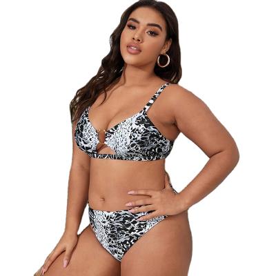 China 2021 plus size swimwear for women for sale