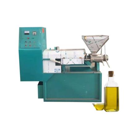 China Restaurant Large Capacity Mini Oil Making Hemp Oil Press Machine Oil Pressers for sale