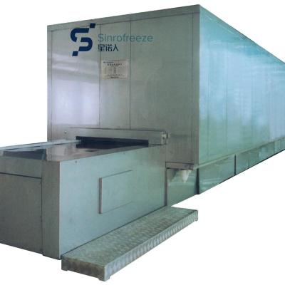 China food & Beverage Plant IQF Tunnel Freezer Block Freezing Machine for sale