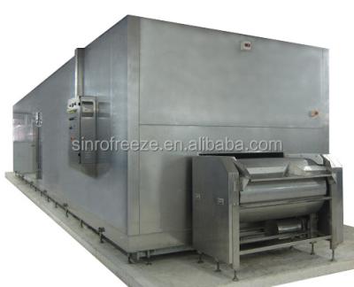 China food & Beverage Factory IQF Machine Tunnel Blast Freezer for sale