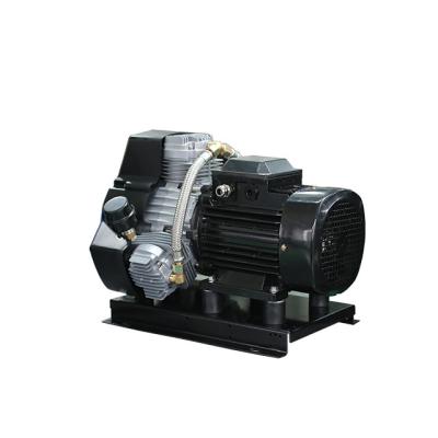 China High efficiency /long life /Wholesale /silent AC220V /380V 2.2kw heavy duty oil free /silent air compressor 316.73LPM oil free /oil free air compressor for sale