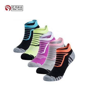 China EVAN-A Breathable 140 Best Breathable No Exposure Sports Sock Low Cut Sports Socks for sale