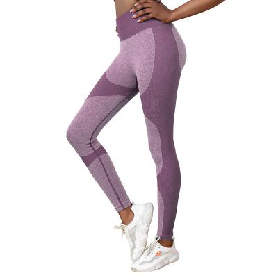 China High Quality QUICK DRY High-elasticity Ladies Gym Wear High Waist Leggings Fitness And Yoga Wear for sale