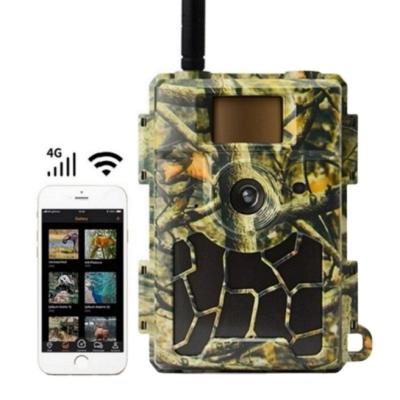 China App Setting Free APP Control 24MP Night Vision Digital Camera For Hunting Outdoor Animal Camouflage Camera for sale