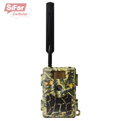 China APP Setting Sifar 60pcs 940nm LED Trail Camera 24MP Wildlife Video Camera Night Vision Infrared Surveillance Camera for sale