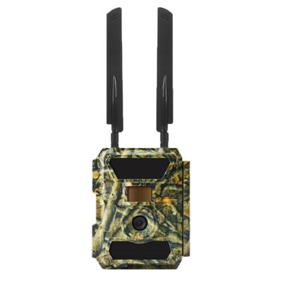 China Weather-Resistant Small Waterproof Forest Hidden Hunting Trail Camera Motion Detection Night Vision for sale