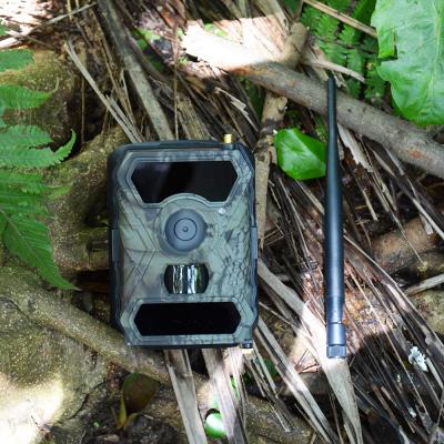 China Wholesale 3G Chinese Trail Camera Manufacturer WILLFINE Weather-Resistant Surveillance Camera Support Mobile Phone APP Remote Control for sale