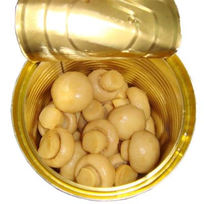 China Canned Mushroom Canned Mushroom Canned Most Popular Canned Vegetable for sale