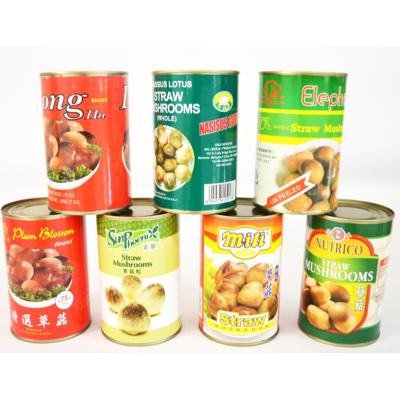 China New Flavor Canned Good Price 2500g Canned Vegetable Canned Mushroom 425g for sale