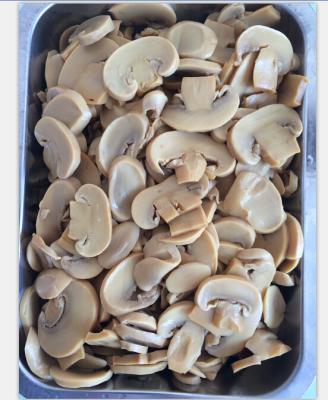 China China canned sell well new canned mushroom in slice for sale