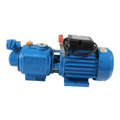 China High quality industrial boilers booster pump home self-suction pump 220v screw self-suction pump for sale