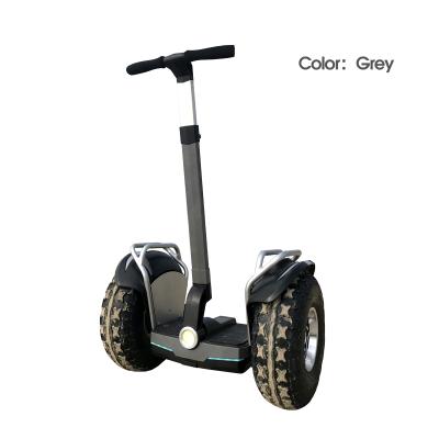 China Aluminum Alloy 19 Inch Fat Tire Scooter Golf Cart Electric Off-Road Patrol Car 2400w Two Wheels Cart for sale