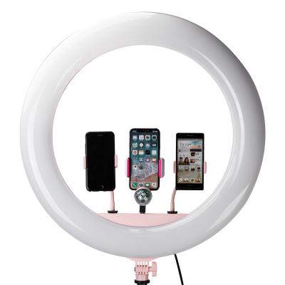 China Hot Selling Aluminum Alloy 24 Inch Professional Beauty Studio Video Selfie Photo Led Ring Light for sale