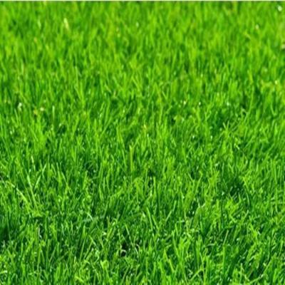 China PP+PE synthetic turf artificial grass futsal plastic mats for soccer stadium for sale