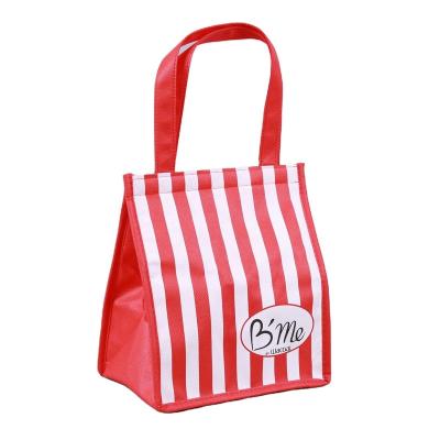 China 2022 Waterproof New Style Non Woven Tote Cooler Bag Non Woven Thermal Bag With Logo Customized for sale