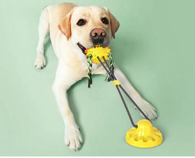 China Wholesale Viable Single Ball Suction Rope Dog Interactive Pull Dog Chew Toy With Suction Cup for sale