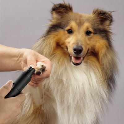 China Wholesale Amazon Best Selling USB Pet Nail Grinder Viable Low Noise Automatic Dog Nail Grinder for sale