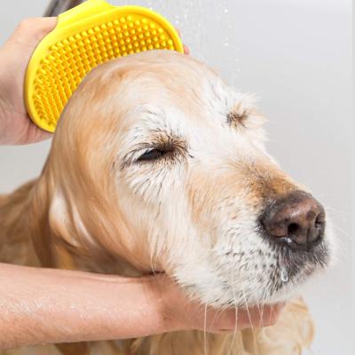 China 2021 Dog Viable Silicone Cat Dog Bath Brush Cat Grooming Massage Pet Washing Brush Massager for sale