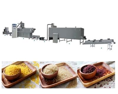 China Engine Core Components Automatic Fortified Rice Production Equipment Artificial Rice Production Line for sale