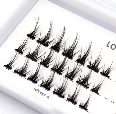 China Wholesale new products from eyelash extensions manufacturers, segmented high end fiber eyelashes. Natural and layered, easy for novices to operate for sale