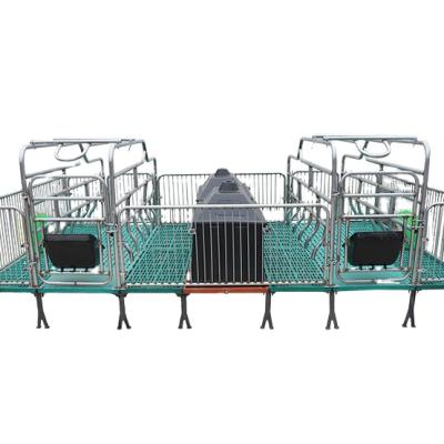 China Save Feed Sow Production Bed , Piglet Nursery Bed Sow Farrowing Bed for sale