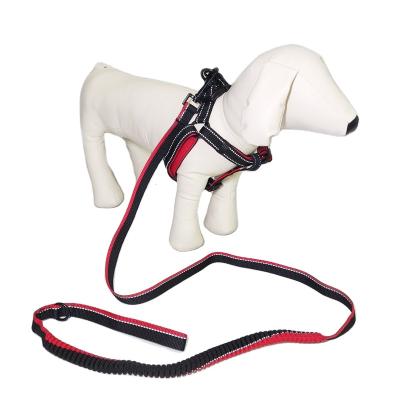 China Nylon Quick Release Elastic Fabric Polyester Leash Dinosaur Duty Dog Adjustable Strap Harness for sale