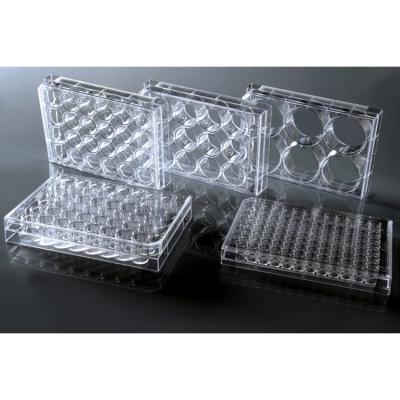 China High clarity Wholesale Lab Consumables Disposable TC Treated 6 Well Cell Culture Plate Flat Tc Sterile for sale