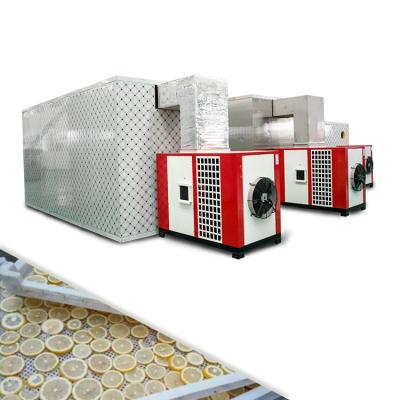 China Food Processing Easy Operation Durable Lemon Heat Pump Dryer Hot Air Lemon Oven for sale