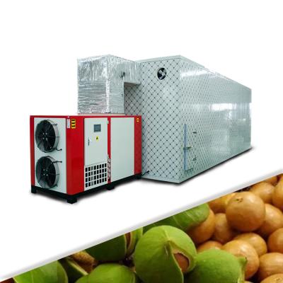 China Australia commercial hazelnut dryer pump food processing heat dried fruit machine for factory price for sale