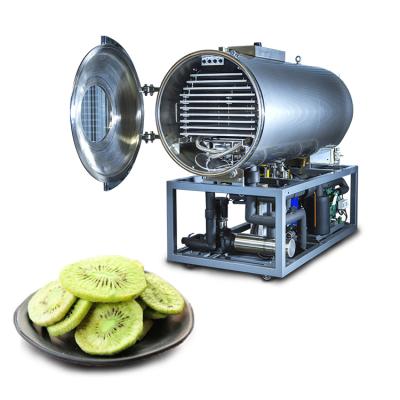 China Food Processing Vacuum Freeze Dryer For Kiwifruit High Precision Configuration Freeze Drying Equipment for sale