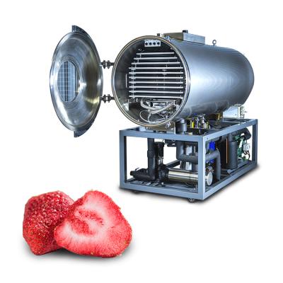 China Food Processing Grade Best Fruit Freeze Dryer Strawberry Freeze Vacuum Dryer Tianjie for sale