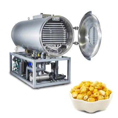 China Food Processing Corn Drying Machine Food Mushroom Corn Vegetable Vacuum Freeze Dryer for sale