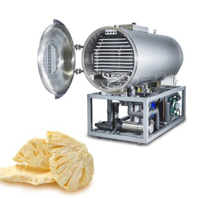 China Food Processing Clean Type High Efficient Vacuum Freeze Dryer Equipment For Drying Jackfruit / Pineapple for sale