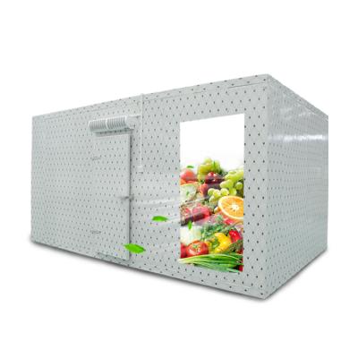 China Container Low Cost Cold Storage Freezer Cold Room For Foods And Fish for sale