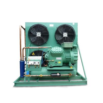 China Factory Cold Room Industrial Refrigeration Unit Piston Refrigeration Compressor Semi-Hermetic Condensing Unit for sale