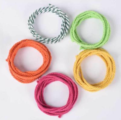 China 0.003 China Manufacturer High Quality Canvas Ropes Braided Most Popular Cotton Twisted Rope Consumer Color 3 Strands for sale