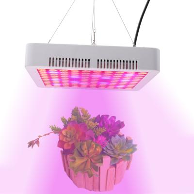 China Seed Planting Super Bright Indoor Garden Greenhouse Plant Growing Light 300W 1000W Full Spectrum IR UV LED To Grow Light for sale