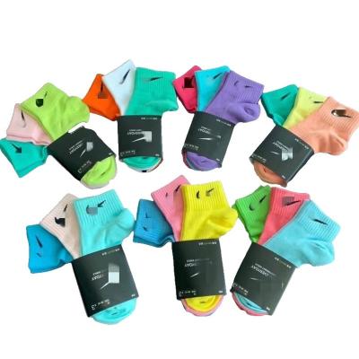 China Quality guaranteed QUICK DRY candy color thin socks for men and women for sale