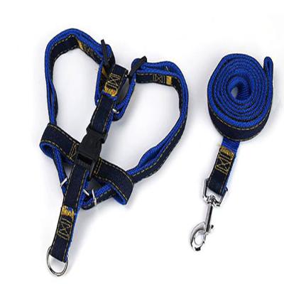 China Back lights tether wholesale cat dog tow rope small and medium pet customization pet collars and leash for sale