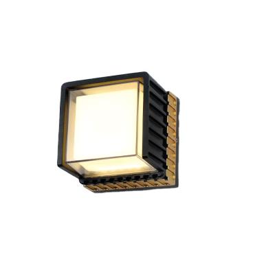 China Outdoor Indoor 6W Led Wall Lamp Through Aluminum Decorate Wall Led Wall Light Slim Ip65 Waterproof Lights for sale