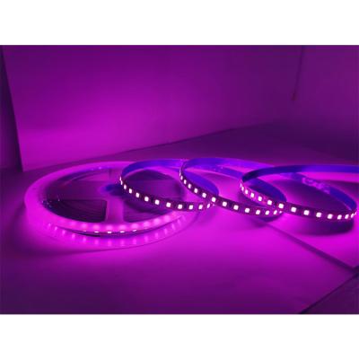 China Garden LED Lights Non-waterproof LED Strip Light Large Price Two Line Rope Lamp for sale