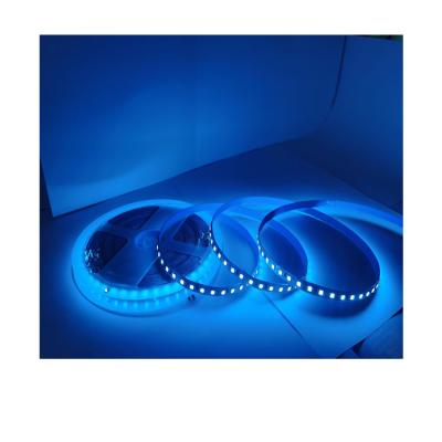 China Garden Lighting And Circuits Design Ip66 6Mm Light Strip 6000K 12.24V Led Outdoor Light for sale