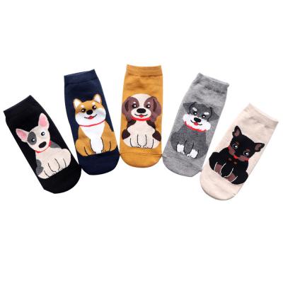 China Women's QUICK DRY Animal Socks Summer Cotton Kawaii Dog Straight Socks 70 for sale