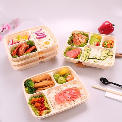 China Children's Bento Food Packaging To Go Lunch Box For Resturant Eco Friendly Food Container for sale