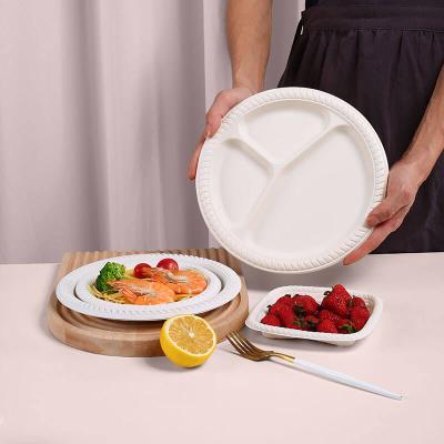 China CLASSIC Biodegradable Dish Tray For Food Packing Dishes for sale