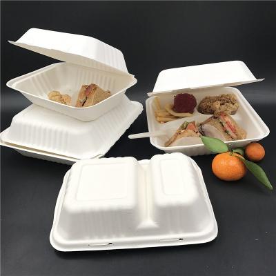 China Biodegradable For Men's Wholesale Environmental Protection Lunch Bento Box for sale