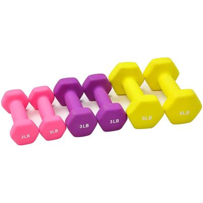 China Arm Exercise Weightlifting Set Home Lady Dumbbell Hex Fitness Color Book Woman Dumbbell Set for sale