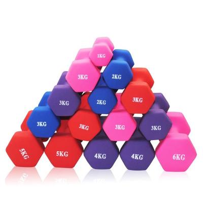 China Motion Tracking Factory Custom Women Use Neoprene Dipping Walking Dumbbell Dumbbell For Sale Dumbbell 1.0kg 4.0kg for sale